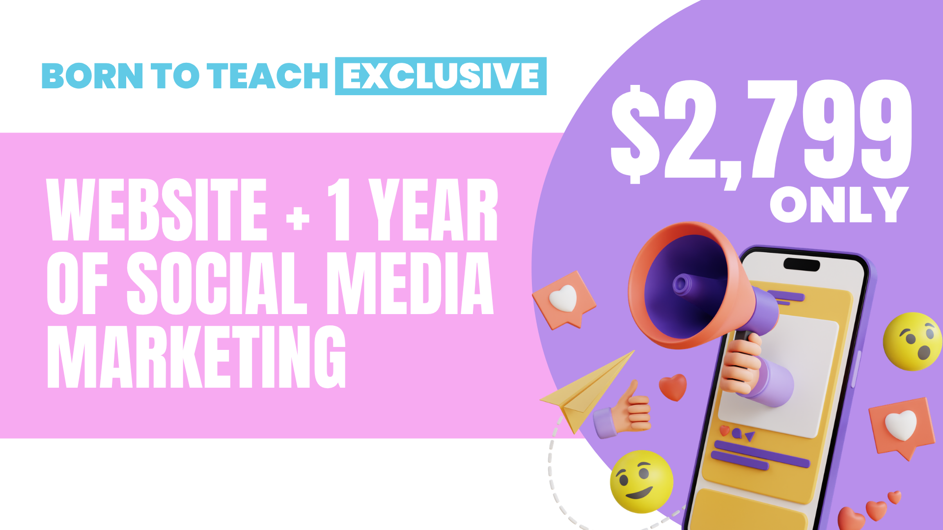 Born to Teach exclusive: website plus 1 year of social media marketing, $2,799 only